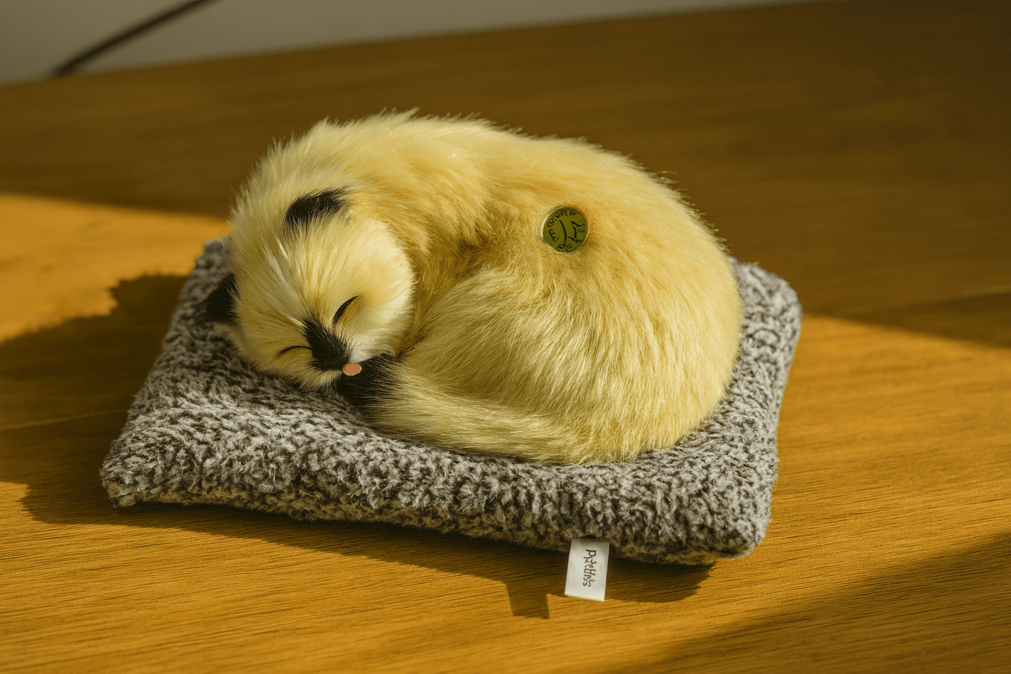 Sleeping Cat Push Toy with Sound For Kids