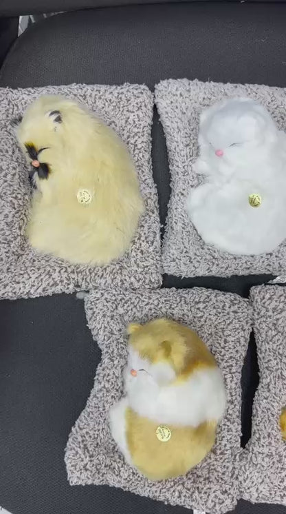 Sleeping Cat Push Toy with Sound For Kids